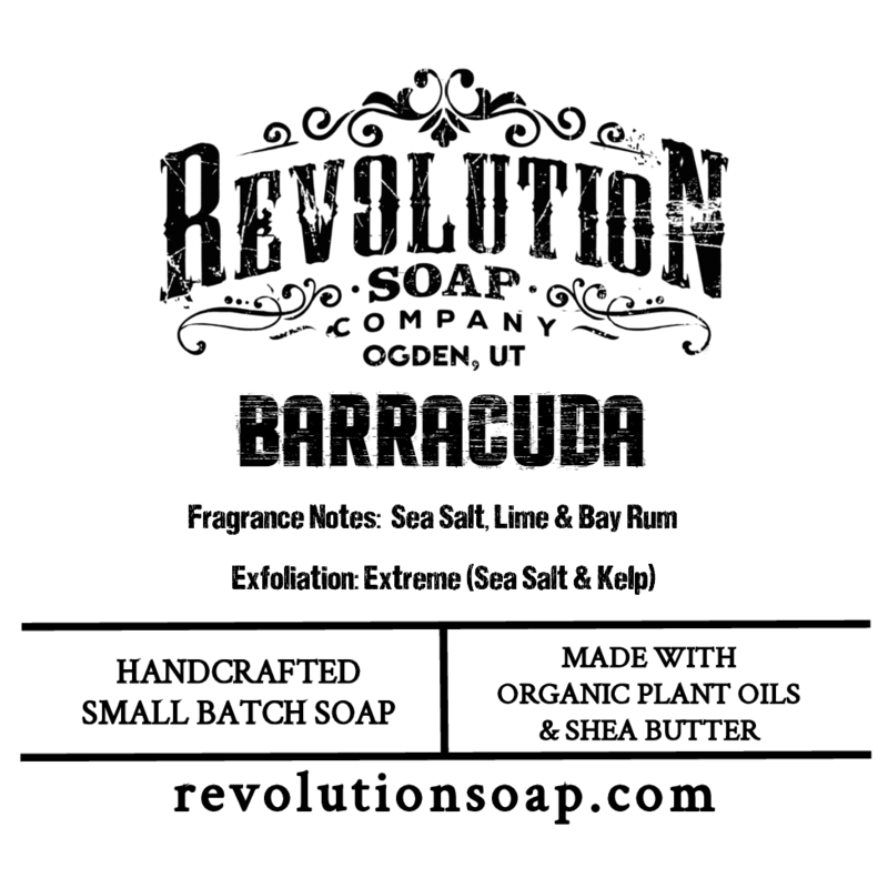 Barracuda