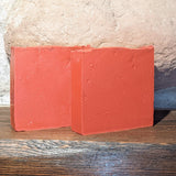 Joy to the World - Revolution Soap Company